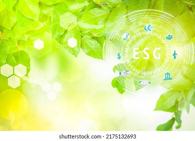 ESG concept of environmental, social and governance. ESG diagram on natura background, sustainable organizational development. account the environment, society and corporate governance, toned - Shutterstock ID 2175132693