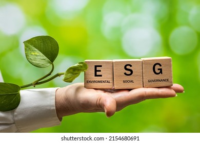 ESG environmental, social and corporate governance concept, text on blocks held in the palm of your hand, The idea of sustainable development of a company that cares about the environment
