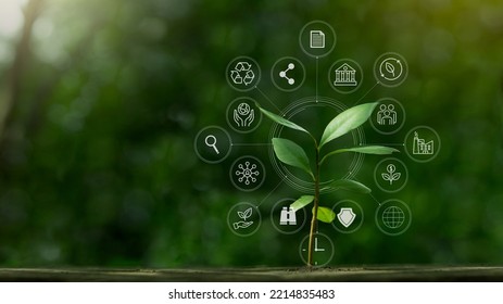 ESG icon concept with small tree for environmental, social, and governance in sustainable and ethical business on the Network connection on a green background. - Shutterstock ID 2214835483