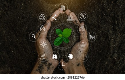 ESG icon concept in the woman hand for environmental, social, and governance by using technology of renewable resources to reduce pollution and carbon emission .  - Shutterstock ID 2091228766
