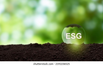 ESG And Sustainable Development Concept. Aim To Have A Positive Impact On The World While Also Making A Profit. Socially Responsible Investing, ESG Factors, Impact Investing, Sustainable Investing