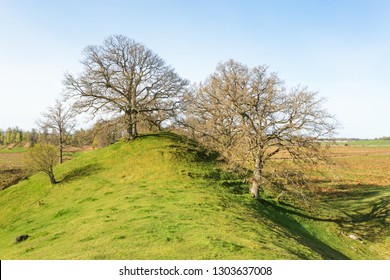 Esker with oak trees on the hill in the rural landscape - Shutterstock ID 1303637008