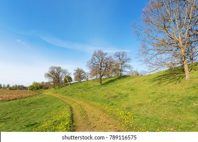 Esker with oak trees and a path in the meadow - Shutterstock ID 789116575