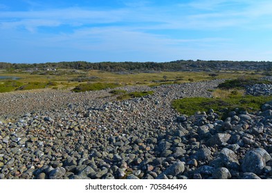 Esker / Ridge north in the preserve in Autumn.
The northern island of Koster,Sweden, west coast, just under Oslo, Norway. - Shutterstock ID 705846496