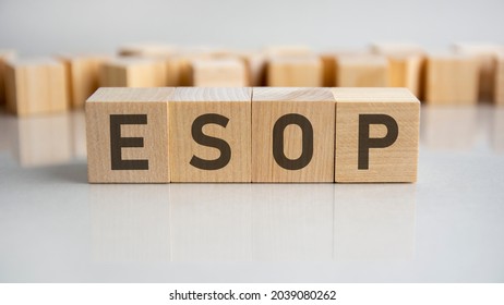 esop text on a wooden blocks, gray background