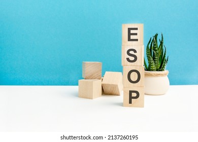 esop - word is written on wooden cubes on a bright blue background. close-up of wooden elements. In the background is a green flower. ESOP - short for Employee Stock Ownership Plan
