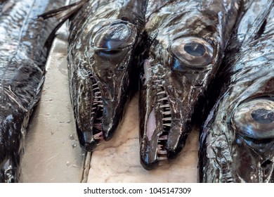 Espada Fish Of Madeira. Black Scabbardfish, Aphanopus Carbo, Is A Bathypelagic Cutlassfish Of The Family Trichiuridae. Closeup Macro Photo  On Traditional Fish Market Mercado Dos Lavradores In Funchal