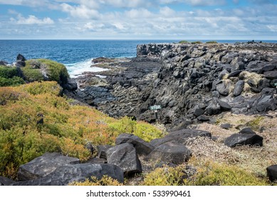 Espanola Island Punta Suarez Galapagos Islands