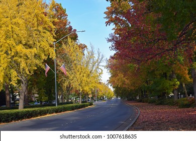 The Esplanade In The Fall.  Chico, California