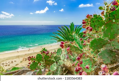 Esquinzo Beach, fuerteventura, Canary Islands  - Shutterstock ID 1183364383