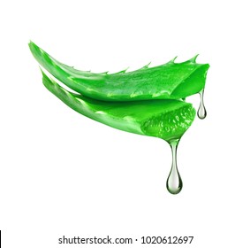 Essence from aloe vera plant drips from stems on white background 