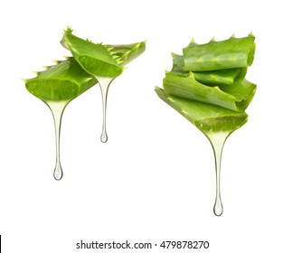 Essence From Aloe Vera Plant Drips From The Leaves On White Background 