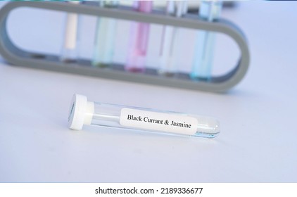 Essential Aroma Oil In Test Tube For Analysis  Laboratory Test Black Currant  Jasmine