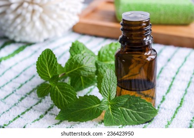 Essential Mint Oil