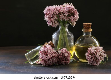 Essential Oil In Bottle With Blooming Valerian Plant