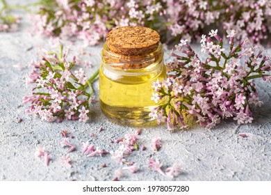 Essential Oil In Bottle With Blooming Valerian Plant