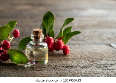 Essential Oil Bottle With Wintergreen Leaves And Berries, With Copy Space