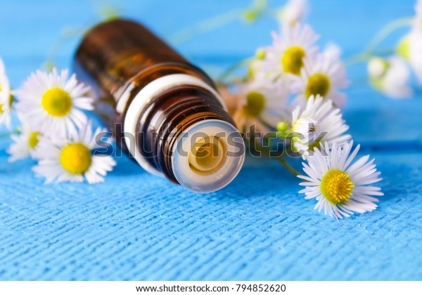 chamomile perfume