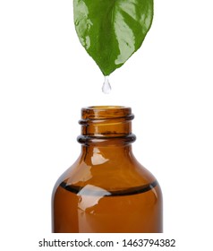 Essential Oil Dripping From Green Leaf Into Bottle Against White Background