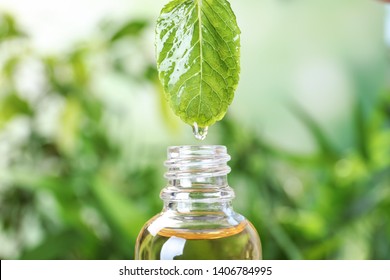 Essential Oil Dripping From Mint Leaf Into Glass Bottle On Blurred Background, Closeup