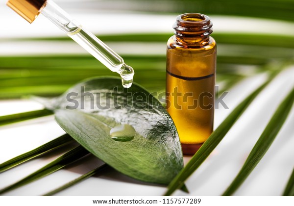 essential oil
dripping on the green leaf from
pipette