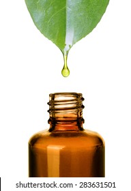 Essential oil dropping from leaf to the bottle. Essence liquid cosmetic. Perfume.Aromatherapy. Isolated on white.