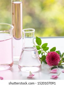 Essential Oil Extraction From Pink Roses. Working In A Lab To Extract Rose Perfume. Clear Perfume Is A Light Pink Color. A Delightful Rose Fragrance. To Be Used As An Ingredient In Cosmetic Products.