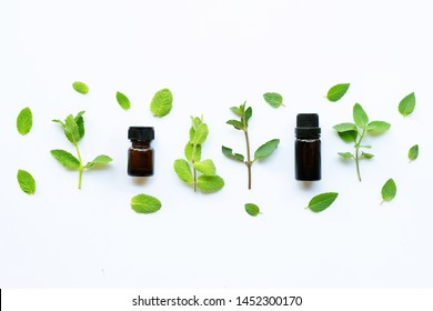 Essential Oil With Fresh Mint Leaves On White Background.