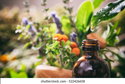 Essential oil and a glass bottle on blur fresh herbs background