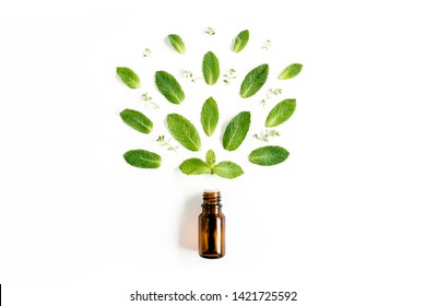 Essential oil and green mint leaves on white background. Medicinal herbs. Flat lay. Top view. - Powered by Shutterstock