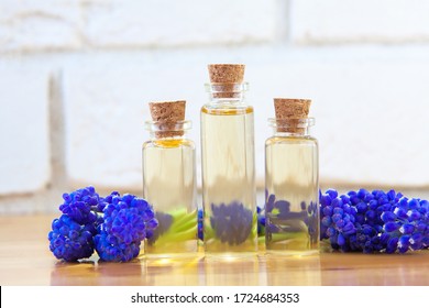 perfumes muscari