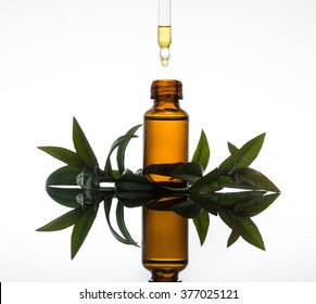 Essential oil with myrtle leaves (myrtus communis) with dropper on white background with reflection