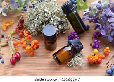 essential oils with autumn plants