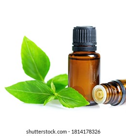 Essential Oils In Dark Glass Bottle With Aroma Herbs. Aromatherapy Concept. Fresh Leaves Of Basil Closeup To Jars On White Background, No People, Selective Focus