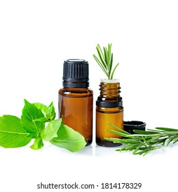 Essential Oils In Dark Glass Bottle With Aroma Herbs. Aromatherapy Concept. Fresh Leaves Of Rosemary And Basil Closeup To Jars On White Background, No People, Selective Focus