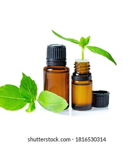 Essential Oils In Dark Glass Bottle With Aroma Herbs. Aromatherapy Concept. Fresh Leaves Of Basil Closeup To Jars On White Background, No People, Selective Focus