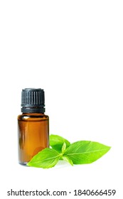 Essential Oils In Dark Glass Bottle With Aroma Herbs. Aromatherapy Concept. Fresh Leaves Of  Peppermint Closeup To Jars On White Background, No People, Selective Focus