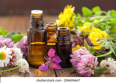 essential oils and medical flowers herbs - Shutterstock ID 204696667