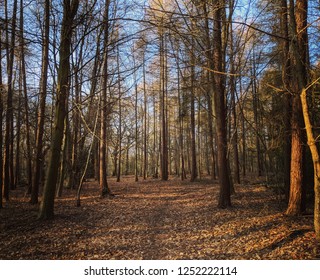 Essex Countryside Brentwood