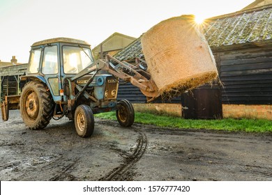 Essex, UK - Circa November 2019: Tractor Located At A Dairy Farm Seen Transporting A Large And Heavy Bale Of Straw. The Bale Is Being Transported To A Cow Shed, Used As Winter Bedding.