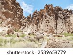 Established in 1994, the Mojave National Preserve is most known for the towering Kelso Dunes, its numerous Joshua trees and the Rings Loop Trail