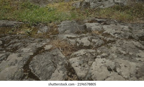 Establishing Shot Of Karerlia River On A Summer Day, Wide Photo