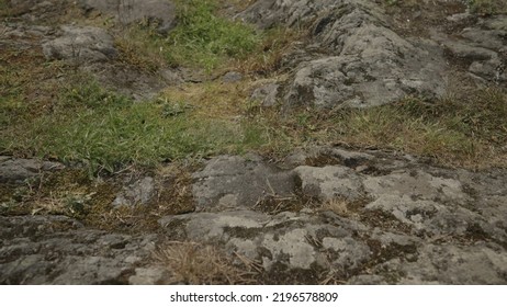 Establishing Shot Of Karerlia River On A Summer Day, Wide Photo