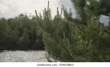 Establishing Shot Of Karerlia River On A Summer Day, Wide Photo