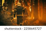 Establishing Shot: Team of Firefighters in Safety Uniform and Helmets Extinguishing a Wildland Fire, Moving Along a Smoked Out Forest to Battle Dangerous Ecological Emergency. Cinematic Footage.