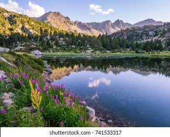 Estany Primer lake in Andorra, Pyrenees Mountains. - Shutterstock ID 741533317