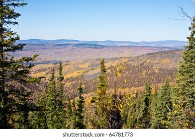 Ester Dome in Fall