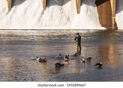 Estes Park, Colorado, USA - March 7, 2021.  Man Fishing On The Big Thompson River In Colorado At The Dam.  Concrete Dam, Large Frozen Blocks Of River Ice And Snow With Birds In Silhouette In Water.