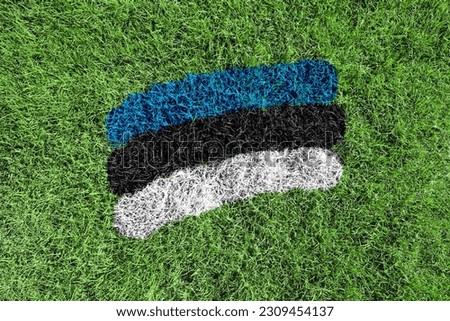 Estonia flag colors painted on grass field