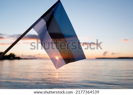 Estonian flag waving at sunset. Flag of Estonia on evening beach background.